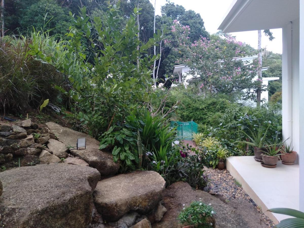 Perfect Sea View Mountain Villa Koh Samui Chaweng-stranden Eksteriør billede